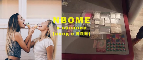 прущие грибы Лабытнанги