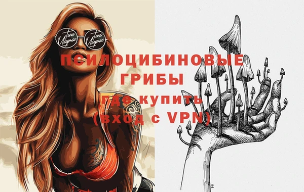 дмт Лиски