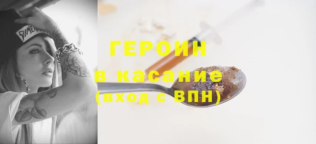 прущие грибы Лабытнанги