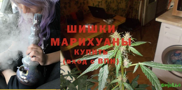 прущие грибы Лабытнанги