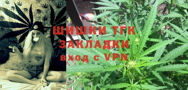 дмт Лиски