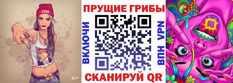 Псилоцибиновые грибы Psilocybine cubensis  где купить наркоту  Малмыж 